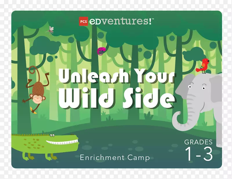 ����3Dӡˢ-��ѧ����Ӫ-������