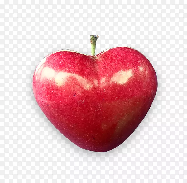 ƻ������������Ϻ�ˮ��-������