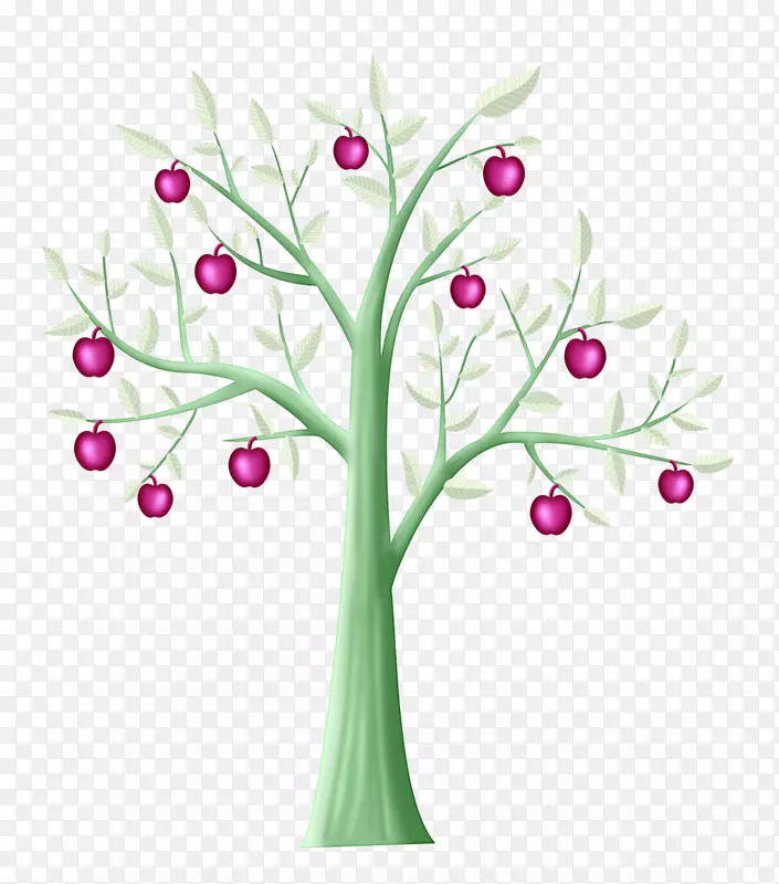 ƻ����-��ͨƻ����-������