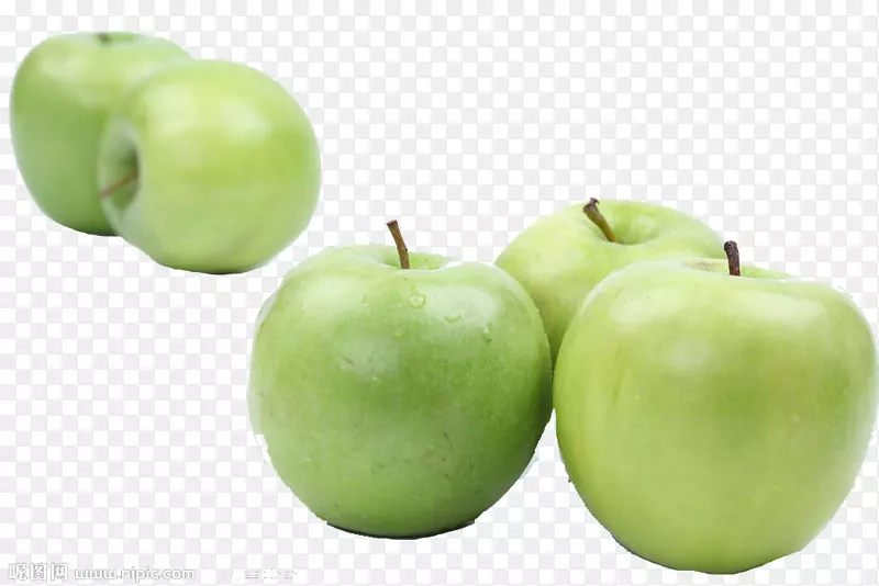 ʷ��˹�������ʳ������ƻ��-������