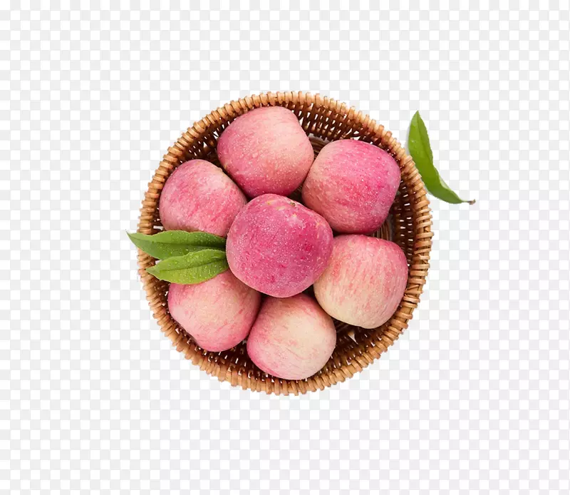 ɽ����ϼƻ����ʿʳ������ƻ��-������