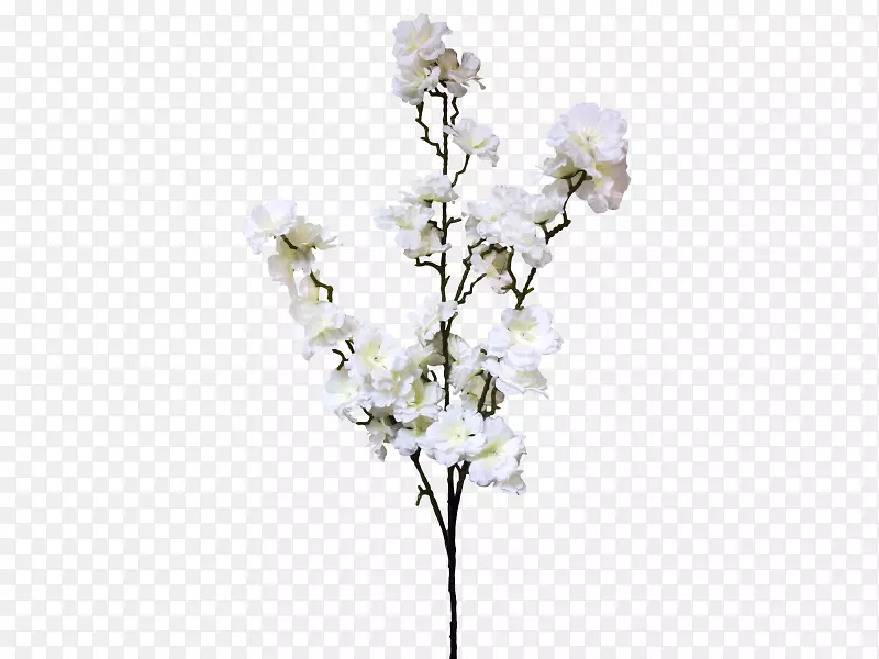 ӣ���������-ӣ��-������