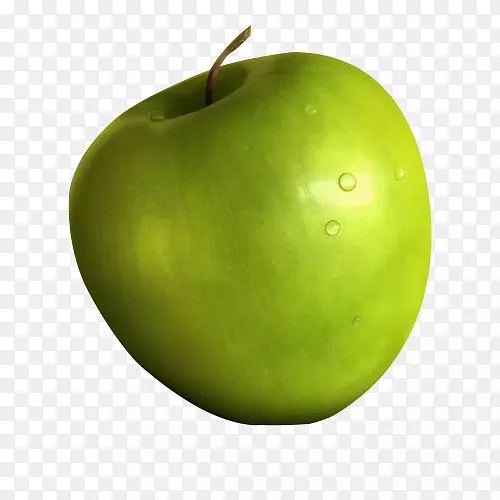 ʷ��˹������ƻ��-������