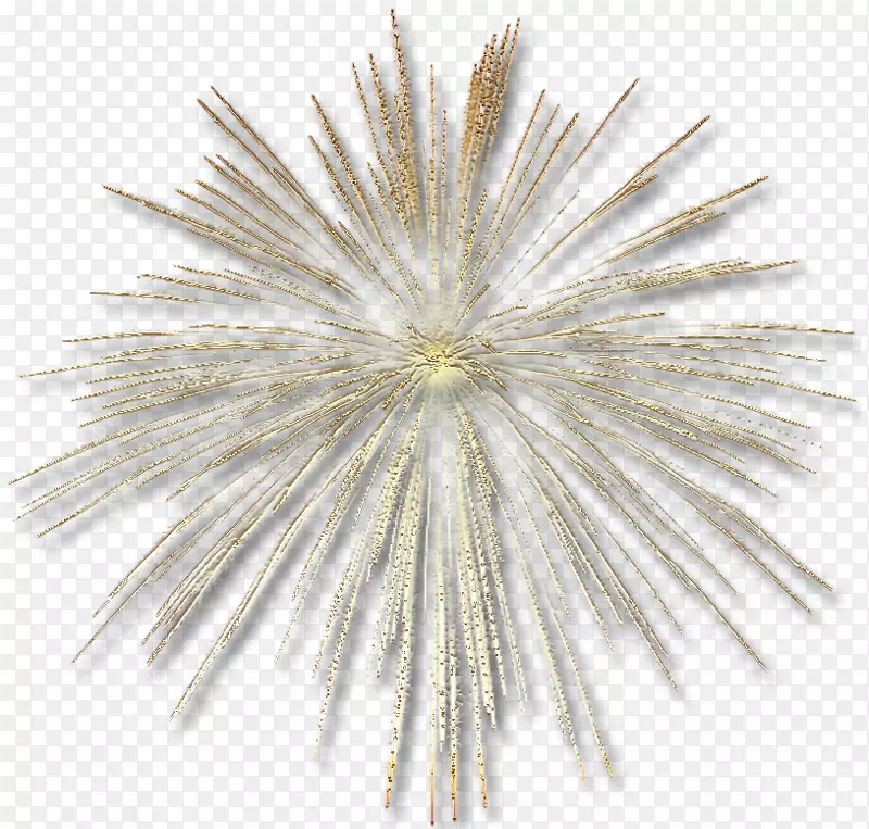 Adobe�̻�-�̻�����-������