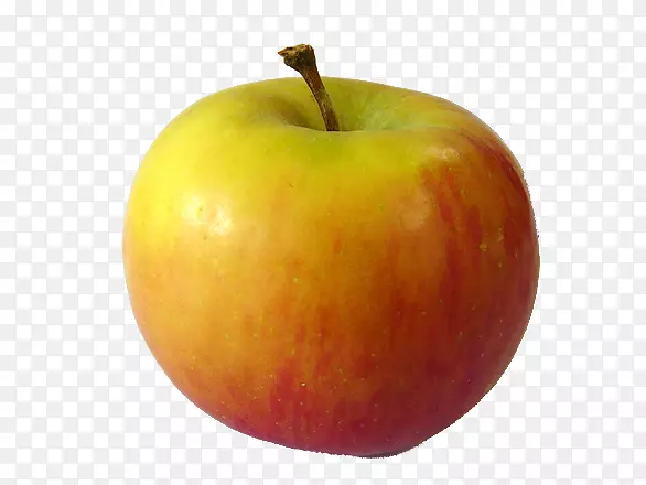 ��֭ƻ����ƻ������Ƭ-������