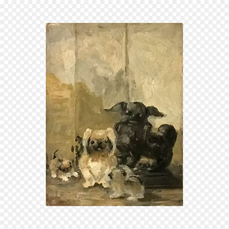 Ȯ��С�����ӻ�-С��-������