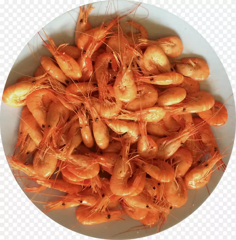 ���cararidea��˸���-������