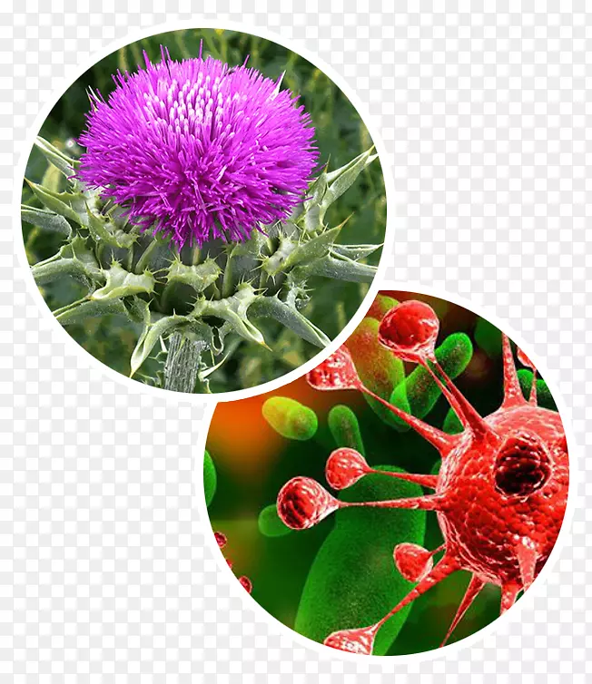 ţ�̼�����Ӧˮ�ɼ���-������