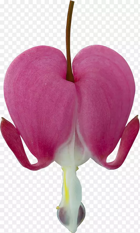 ��ƻ��-��ƻ����-������