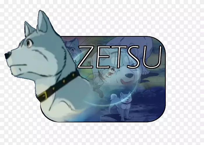 ���ƿ�ͨ���ӽ�ӣ��ǼӲ�ʲ��չ�-������