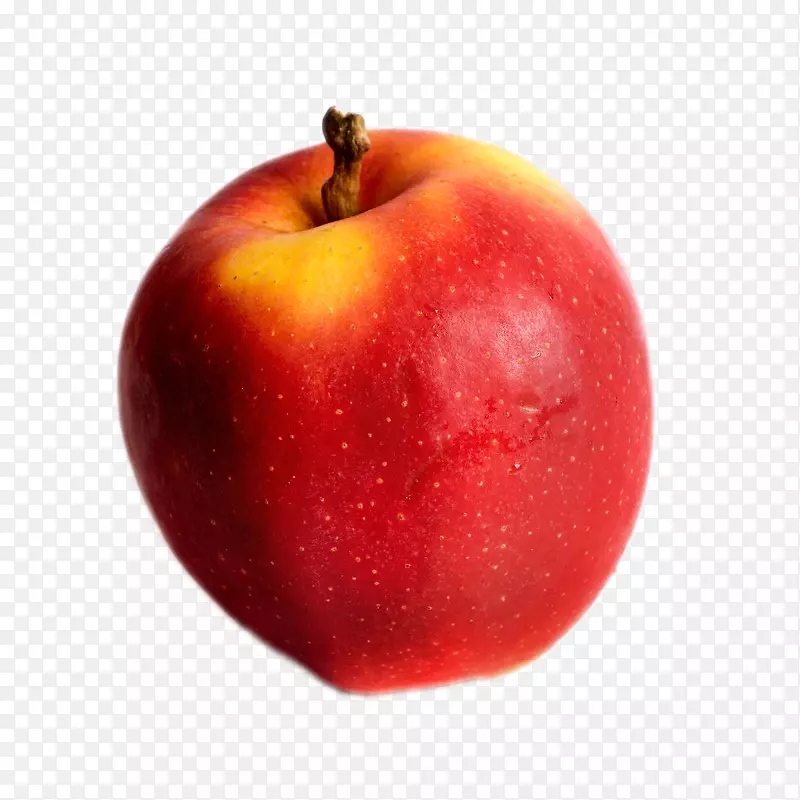 ��ƻ���¸���˹-��ƻ������-������