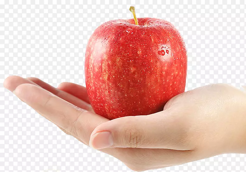 ƻ���¸���˹-�޻�����ƻ��-������