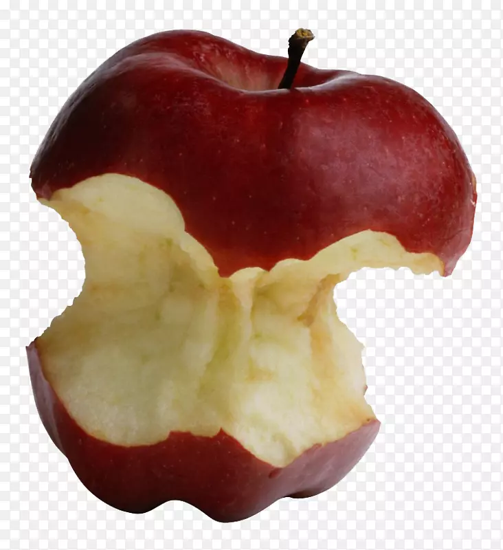 ƻ��������ҧƻ��-������