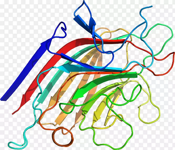 �ߵ������������-������