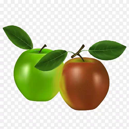 ˮ��ƻ��������.��ͨƻ��-������