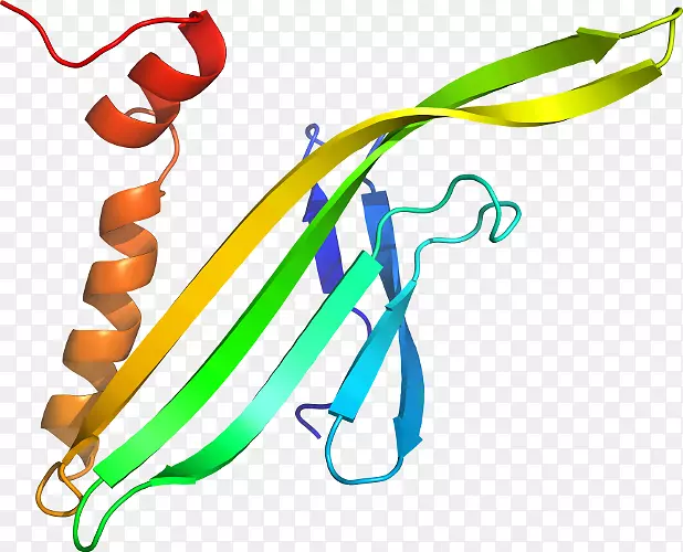 �ߵ������������-������