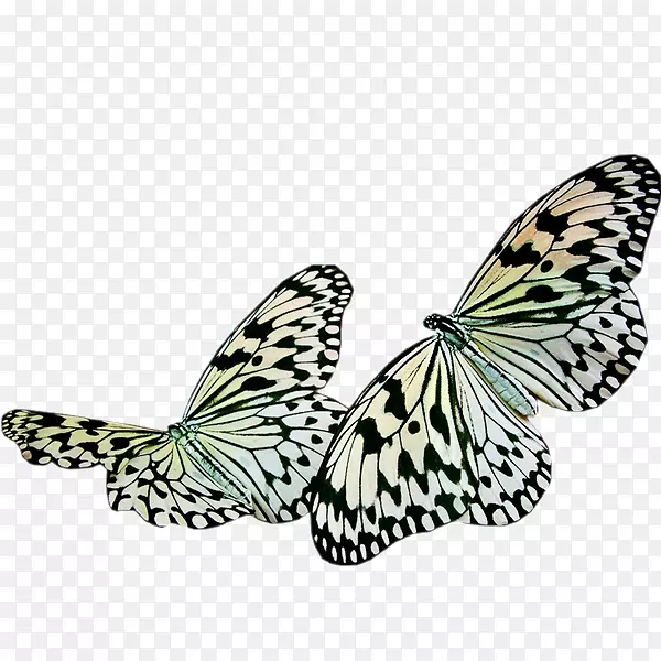 �������滭-����-������