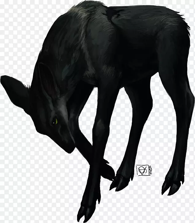 Ȯ��Ȯ����ë�����ӣ��׹�-������