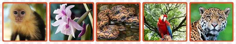 ��������ë-������