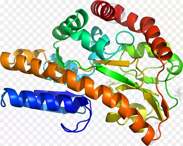 �����鱦�л�������������.�鱦-������