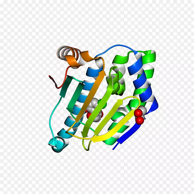 ��������鱦������-���-������