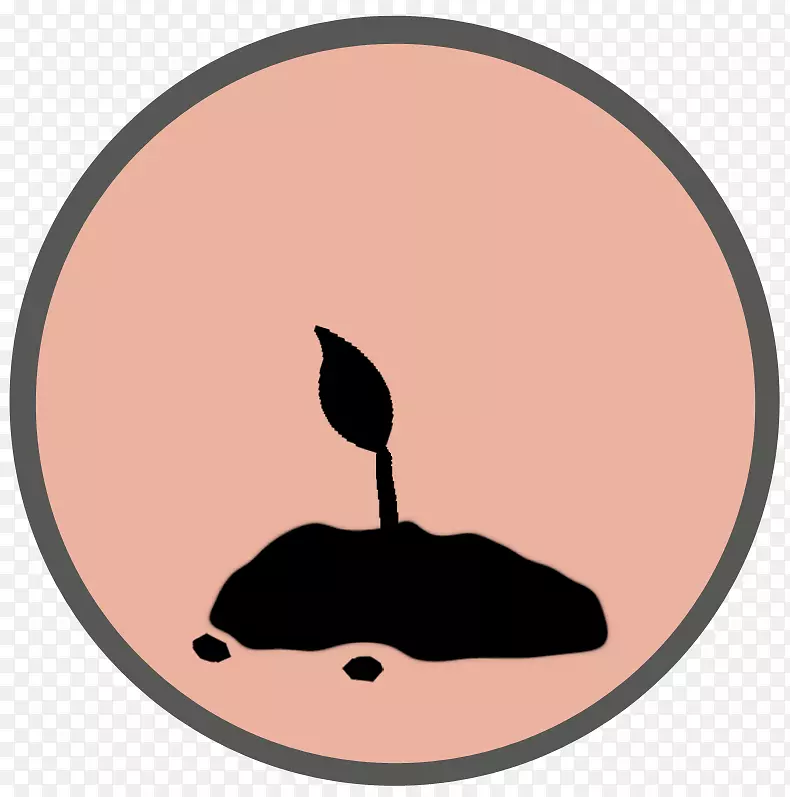 �Ǽ�����-����-������