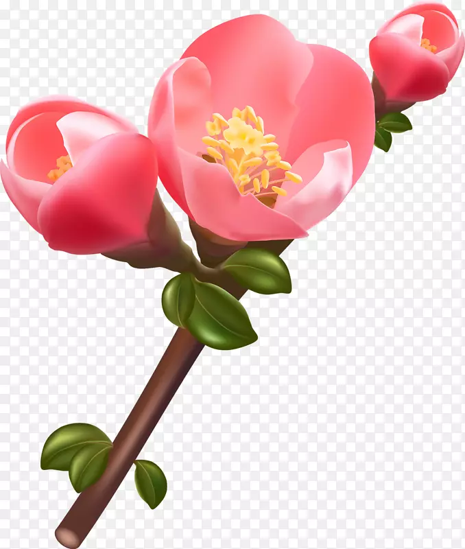 ������Ӱ-����-������