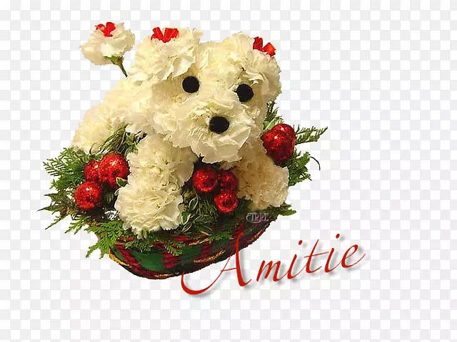 �ʻ���������ʥ������-��������-������