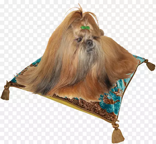 ʯ��Ȯ��ֳ������������Ȯ����-������