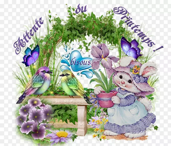 ������Ƹ���ڿ���ֲ��-�����-������