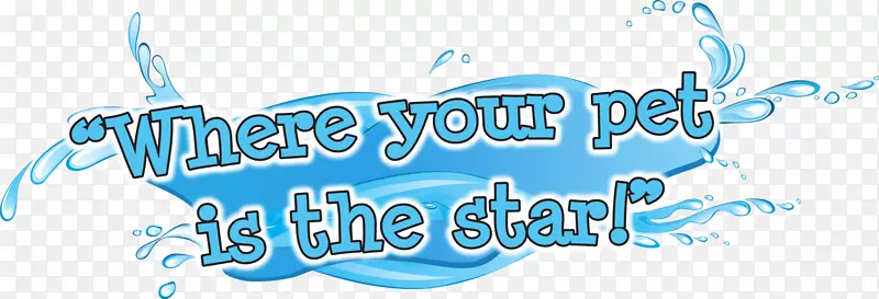 �̱������ֽˮ����-ˮ-������