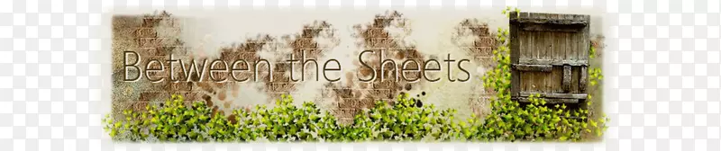 ���صؿ�ݵز�-��������-������