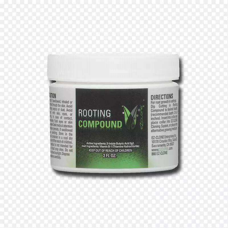 Ǥ�廯ѧ��������-3-����ֲ�ﷱֳ-��Ҭ�ӵĿ�¡-������