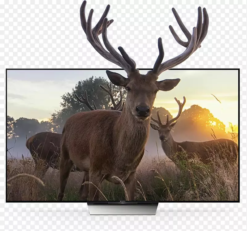 ��Ч��Ƶ����android���������ܵ���-������