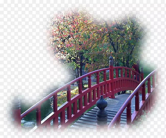 ���벩���＾����-������