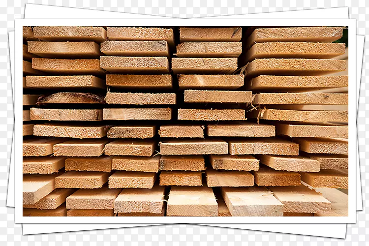 ��ά˹ľ������ľ��Ⱦɫ��ľ-�µ������������޹�˾-������