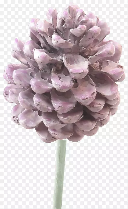 �л���ͨ���㻨�꿪��ֲ��-��-������