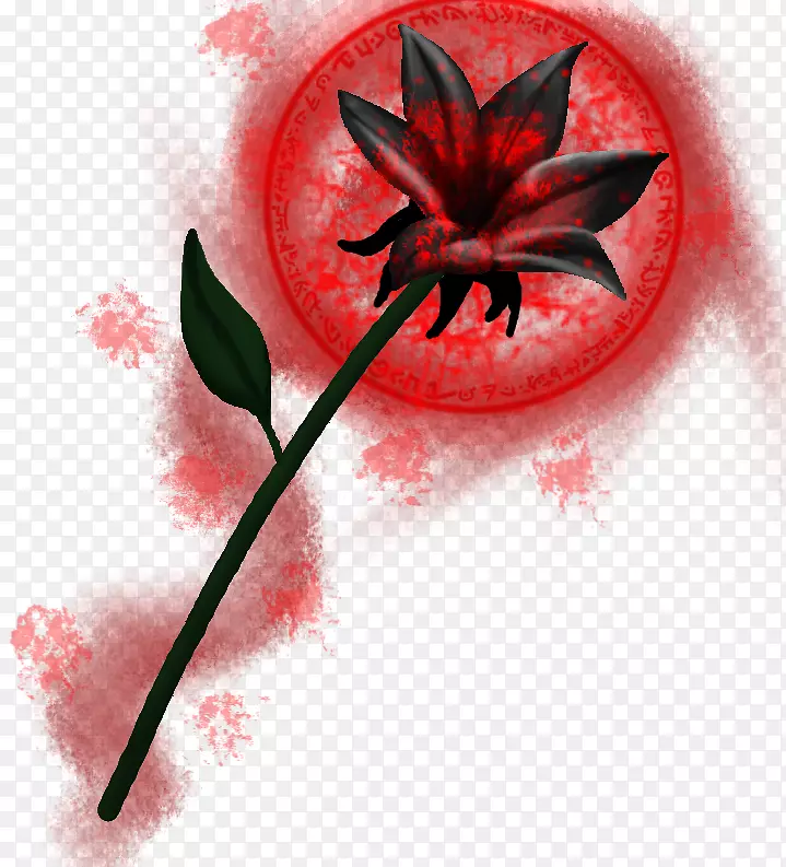 ������Ӱ����ֲ��-������