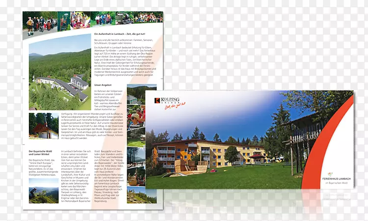 ƽ����ƹ�˾��ƹ�洫��Ӫ������-������