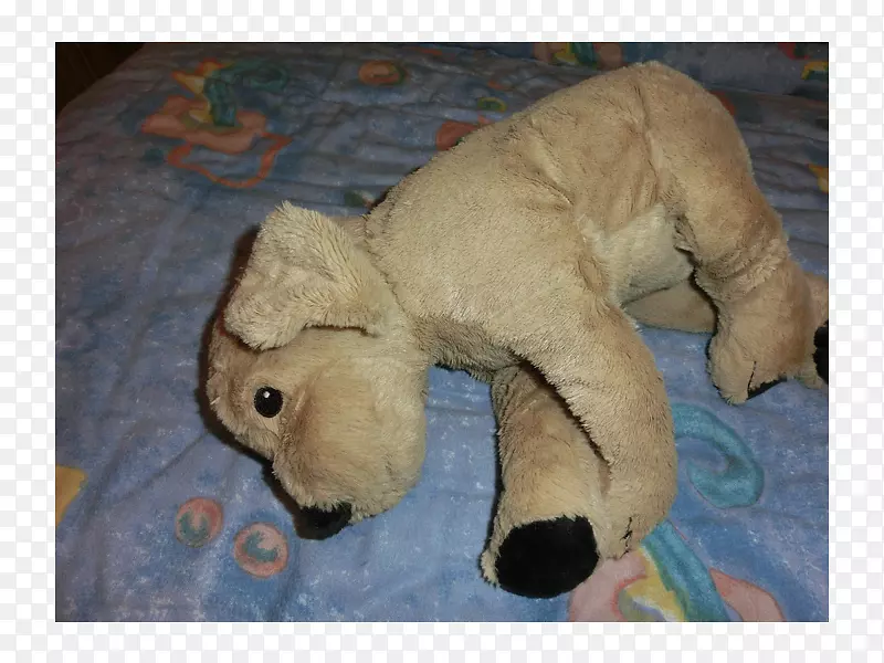 ����ֳ������䶯��&�ɰ������Ⱥ-��-������