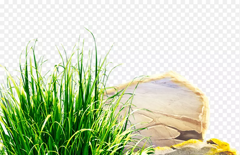 ���ز�ƺ������-��ɫ�ʲ�ʯװ��ͼ��-������