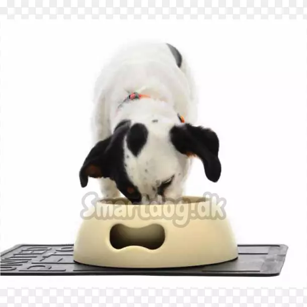 ���������ӣ�ë�޶���Ϳɰ������-С��-������