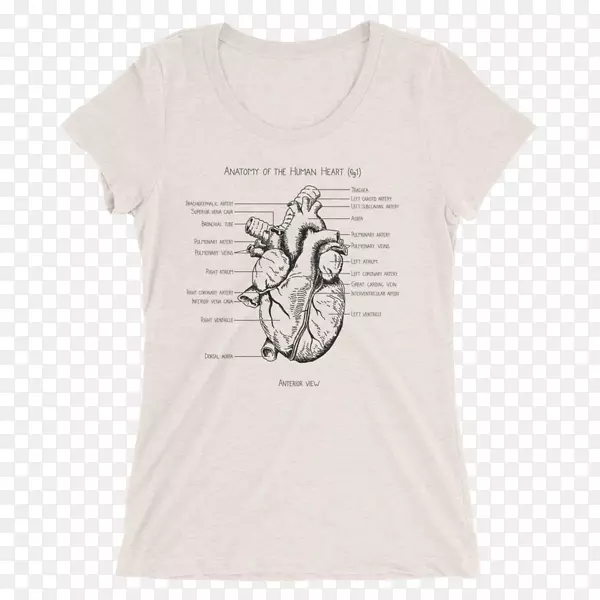 Amazon.comӡ��t������-t��-������