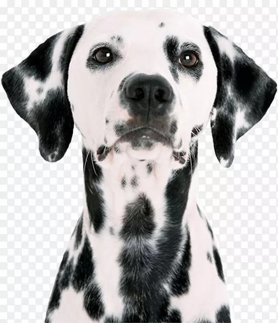 ��������ǹ����������������Ȯ��С��-С��-������