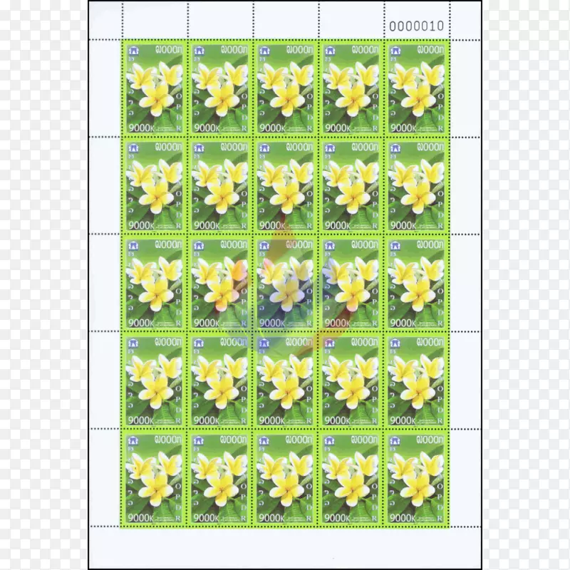 С����ݵ�-����-������