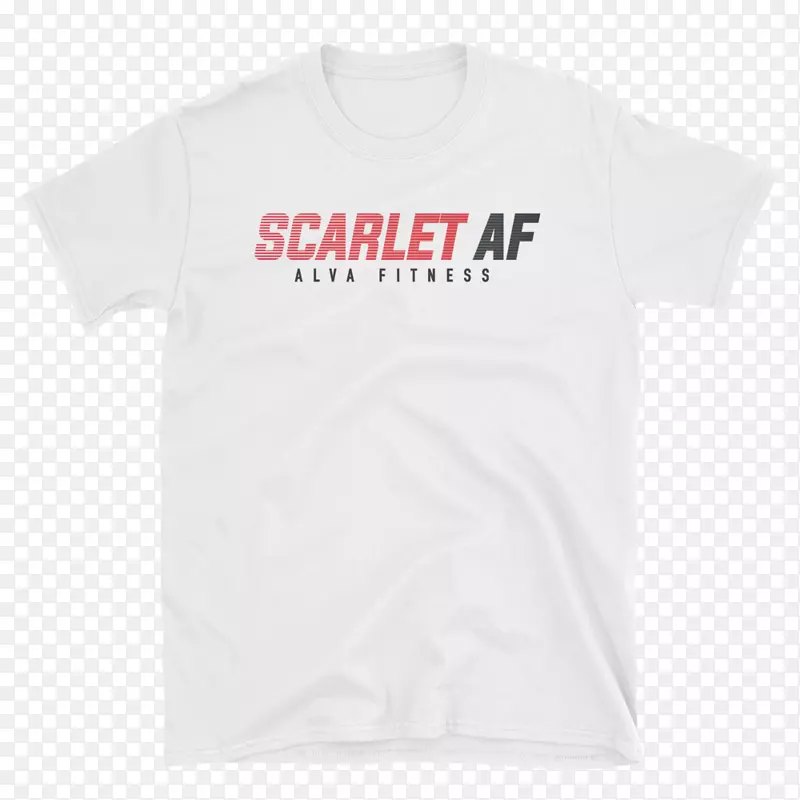 t����������-��ʽƽ��-������