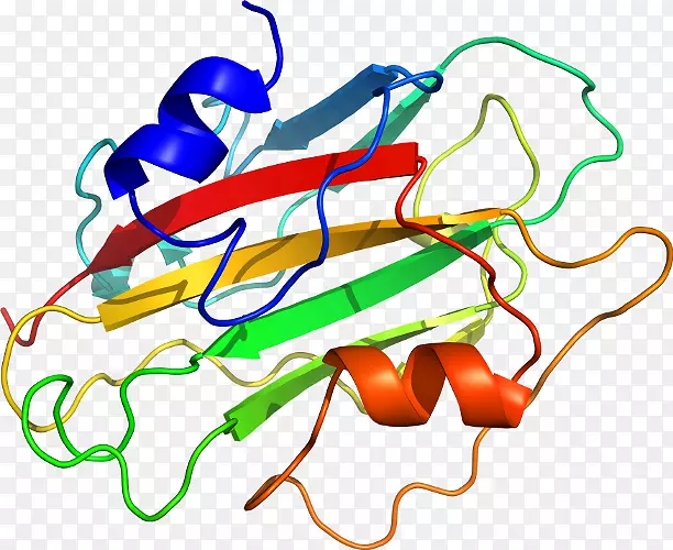 �ߵ������������-������