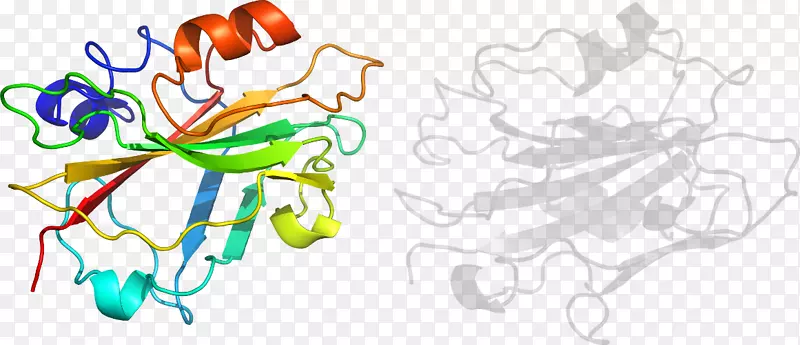 ƽ����Ƽ�����.���-������