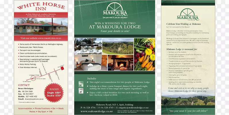 Ʒ�ƴ��⴫�����-������