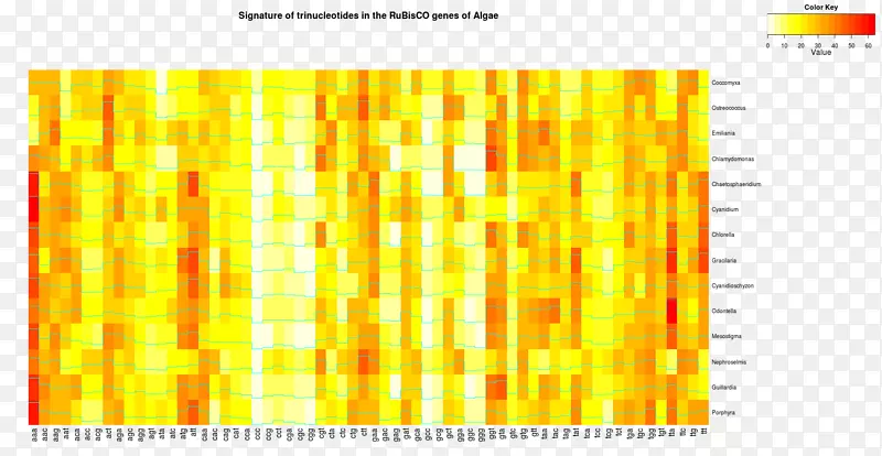 �߽�������-������